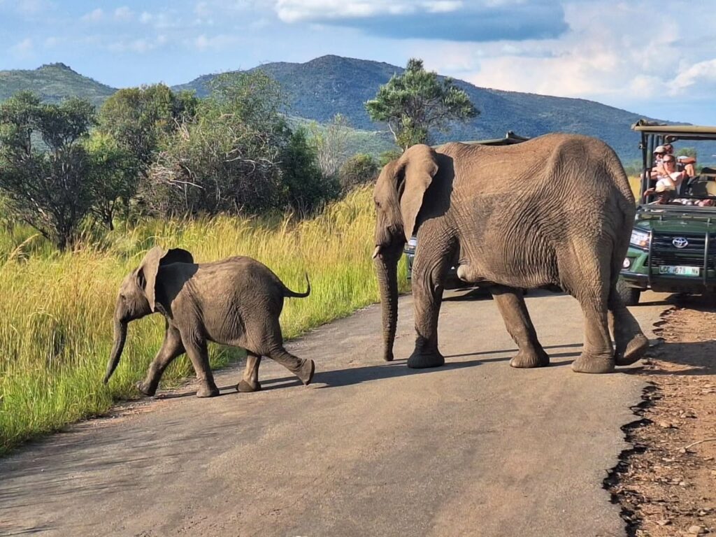 Instagram post from emmanuellemoulinier_events. This post is in position 1.